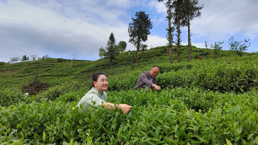 1717854568921722.jpg 微信圖片_20230426171110_副本.jpg