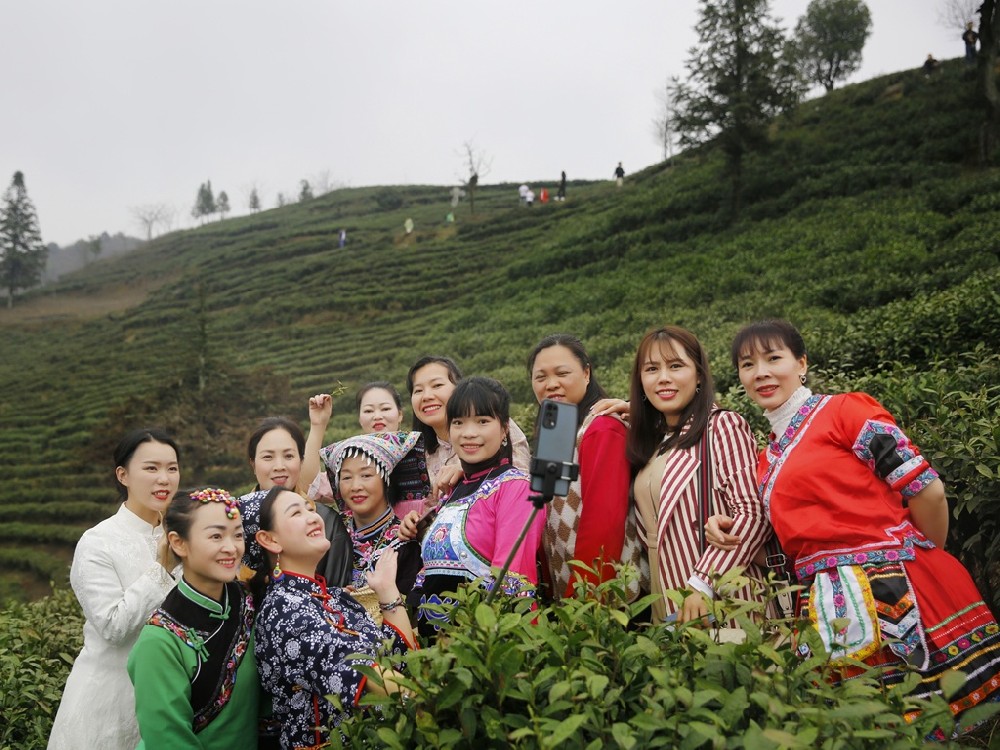秉承“生態(tài)法則” 制作都勻毛尖-貴州日報關注蒙阿妹茶業(yè)