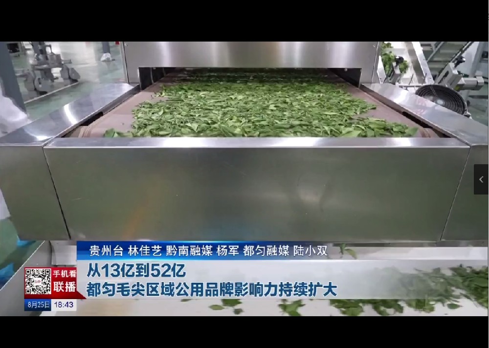 貴州新聞聯(lián)播：從13億到52億，都勻毛尖區(qū)域公用品牌影響力持續(xù)擴(kuò)大