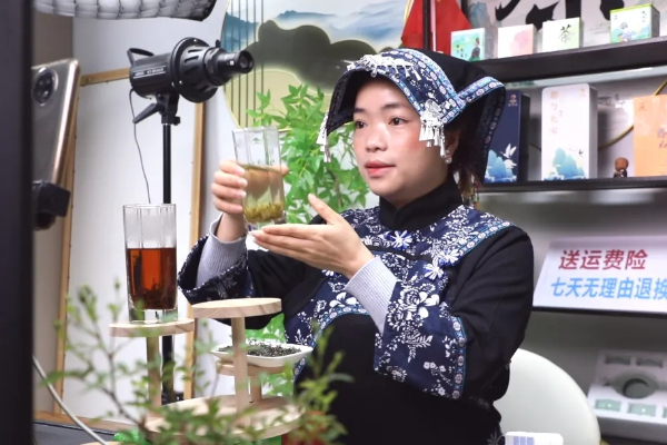 新華網(wǎng)|貴州都勻毛尖借力電商“出山” 傳統(tǒng)茶香飄向全國市場